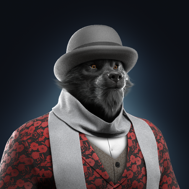 BALJ